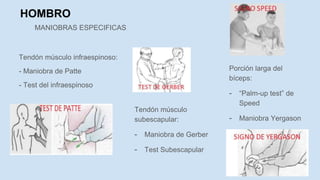 HOMBRO
MANIOBRAS ESPECIFICAS
Porción larga del
bíceps:
- “Palm-up test” de
Speed
- Maniobra Yergason
Tendón músculo
subescapular:
- Maniobra de Gerber
- Test Subescapular
Tendón músculo infraespinoso:
- Maniobra de Patte
- Test del infraespinoso
 