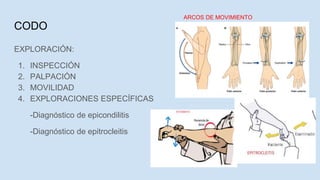 CODO
EXPLORACIÓN:
1. INSPECCIÓN
2. PALPACIÓN
3. MOVILIDAD
4. EXPLORACIONES ESPECÍFICAS
-Diagnóstico de epicondilitis
-Diagnóstico de epitrocleitis
ARCOS DE MOVIMIENTO
 