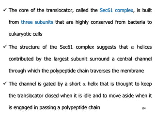 3-2-Intracellular Compartments & Protein Sorting.pptx