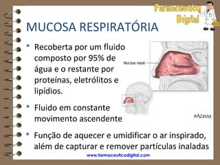 MUCOSA RESPIRATÓRIA
 Recoberta por um fluido
  composto por 95% de
  água e o restante por
  proteínas, eletrólitos e
  lipídios.
 Fluido em constante
  movimento ascendente
 Função de aquecer e umidificar o ar inspirado,
  além de capturar e remover partículas inaladas
                www.farmaceuticodigital.com
 