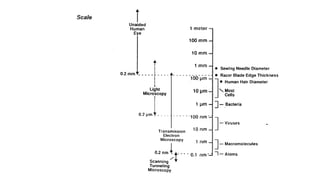 Scanning electron microscope (SEM), TEM | PDF