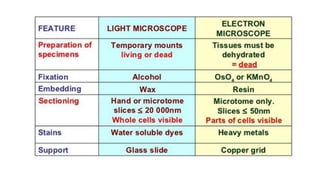 Scanning electron microscope (SEM), TEM | PDF