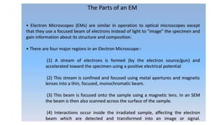 Scanning electron microscope (SEM), TEM | PDF
