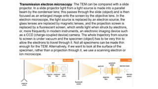 Scanning electron microscope (SEM), TEM | PDF