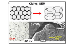 Scanning electron microscope (SEM), TEM | PDF