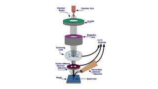 Scanning electron microscope (SEM), TEM | PDF