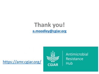 CGIAR Antimicrobial Resistance Hub