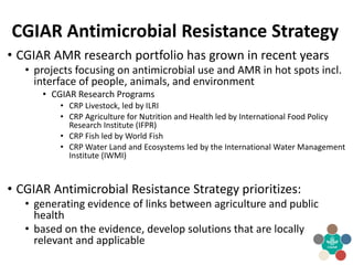 CGIAR Antimicrobial Resistance Hub