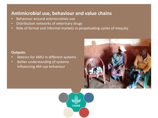 CGIAR Antimicrobial Resistance Hub