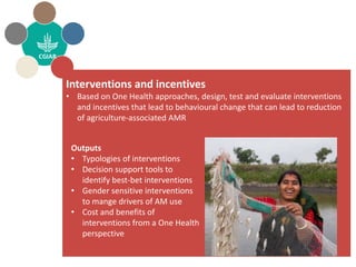 CGIAR Antimicrobial Resistance Hub