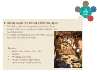 CGIAR Antimicrobial Resistance Hub
