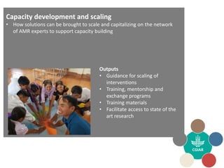 CGIAR Antimicrobial Resistance Hub