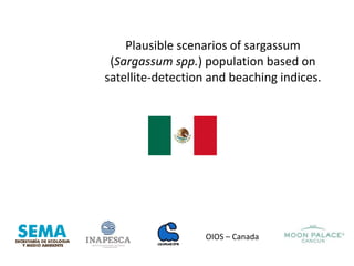 Plausible scenarios of sargassum
(Sargassum spp.) population based on
satellite-detection and beaching indices.
OIOS – Can...