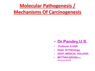 Molecular Pathogenesis /
Mechanisms Of Carcinogenesis
• Dr.Pandey,U.S.
• Professor & HOD
• Deptt. Of Pathology,
• GOVT. MEDICAL COLLEGE,
• BETTIAH-845438(West
Champaran,Bihar)
 
