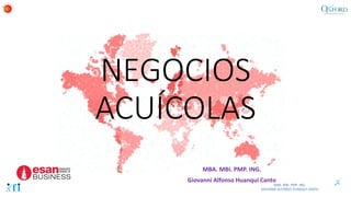 NEGOCIOS
ACUÍCOLAS
MBA. MBI. PMP. ING.
Giovanni Alfonso Huanqui Canto
 