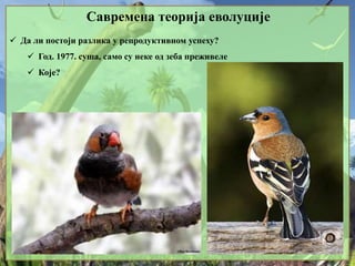 Савремена теорија еволуције
 Да ли постоји разлика у репродуктивном успеху?
 Год. 1977. суша, само су неке од зеба преживеле
 Које?
 