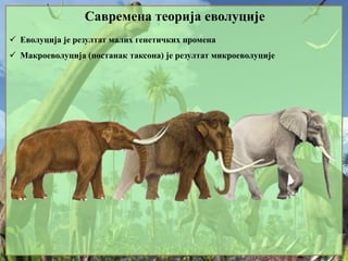 Савремена теорија еволуције
 Еволуција је резултат малих генетичких промена
 Макроеволуција (постанак таксона) је резултат микроеволуције
 