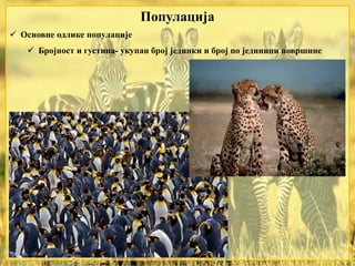  Основне одлике популације
 Бројност и густина- укупан број јединки и број по јединици површине
Популација
 