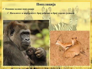  Основне одлике популације
 Наталитет и морталитет: број рођених и број умрлих јединки
Популација
 