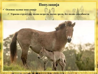  Основне одлике популације
 Узрасна структура: полно незрели, полно зрели, без полне способности
Популација
 