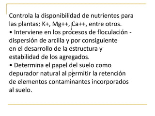 Controla la disponibilidad de nutrientes para
las plantas: K+, Mg++, Ca++, entre otros.
• Interviene en los procesos de floculación -
dispersión de arcilla y por consiguiente
en el desarrollo de la estructura y
estabilidad de los agregados.
• Determina el papel del suelo como
depurador natural al permitir la retención
de elementos contaminantes incorporados
al suelo.
 