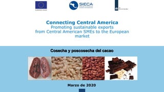 Connecting Central America
Promoting sustainable exports
from Central American SMEs to the European
market
Marzo de 2020
Cosecha y poscosecha del cacao
 