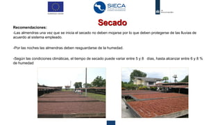 Presentation Post-Harvest Cacao / Cacao Sector