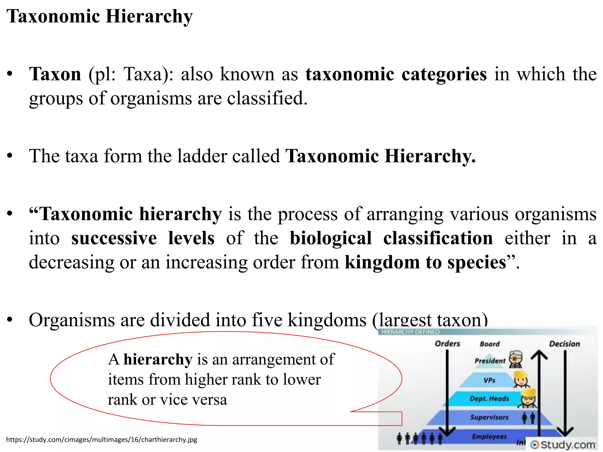3.2 classification aims and principles - Biology - Class 9 - FBISE ...