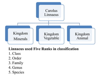Linnaean Ranks 3.3 history of classification Biology - Class 9 - FBISE Islamabad ...