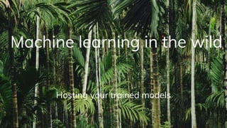 Machine learning in the wild
Hosting your trained models
 
