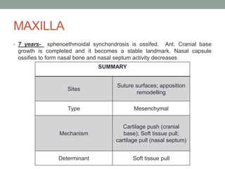 MAXILLA
• 7 years- sphenoethmoidal synchondrosis is ossifed. Ant. Cranial base
growth is completed and it becomes a stable landmark. Nasal capsule
ossifies to form nasal bone and nasal septum activity decreases
SUMMARY
Sites
Suture surfaces; apposition
remodelling
Type Mesenchymal
Mechanism
Cartilage push (cranial
base); Soft tissue pull;
cartilage pull (nasal septum)
Determinant Soft tissue pull
 