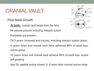CRANIAL VAULT
• Post Natal Growth
• At birth- cranial vault larger than the face
• All sutures present including metopic suture
• Fontanels are present
• Till 2 years- fontanels and sutures, including metopic suture closes
• 4 years- brain and cranial vault have achieved 80% of adult size,
suture grows
• 10 years- brain and cranial vault achieve 95% of adult size, suture
still growing
• Age 25, sagittal suture closed, 2- 3 years later coronal suture close
 