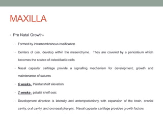 MAXILLA
• Pre Natal Growth-
• Formed by intramembranous ossification
• Centers of ossi. develop within the mesenchyme. They are covered by a periosteum which
becomes the source of osteoblastic cells
• Nasal capsular cartilage provide a signalling mechanism for development, growth and
maintenance of sutures
• 6 weeks- Palatal shelf elevation
• 7 weeks- palatal shelf ossi.
• Development direction is laterally and anteroposteriorly with expansion of the brain, cranial
cavity, oral cavity, and oronasal pharynx. Nasal capsular cartilage provides growth factors
 