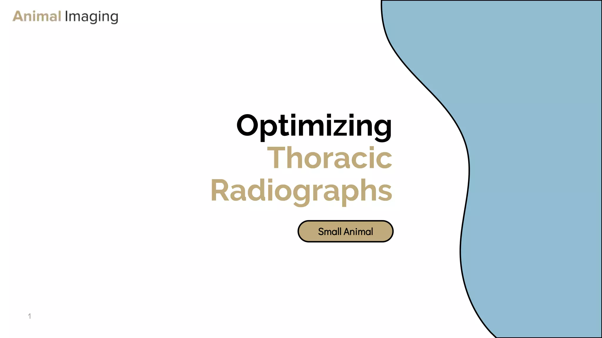 Optimizing Small Animal Thoracic Radiographs | PPT