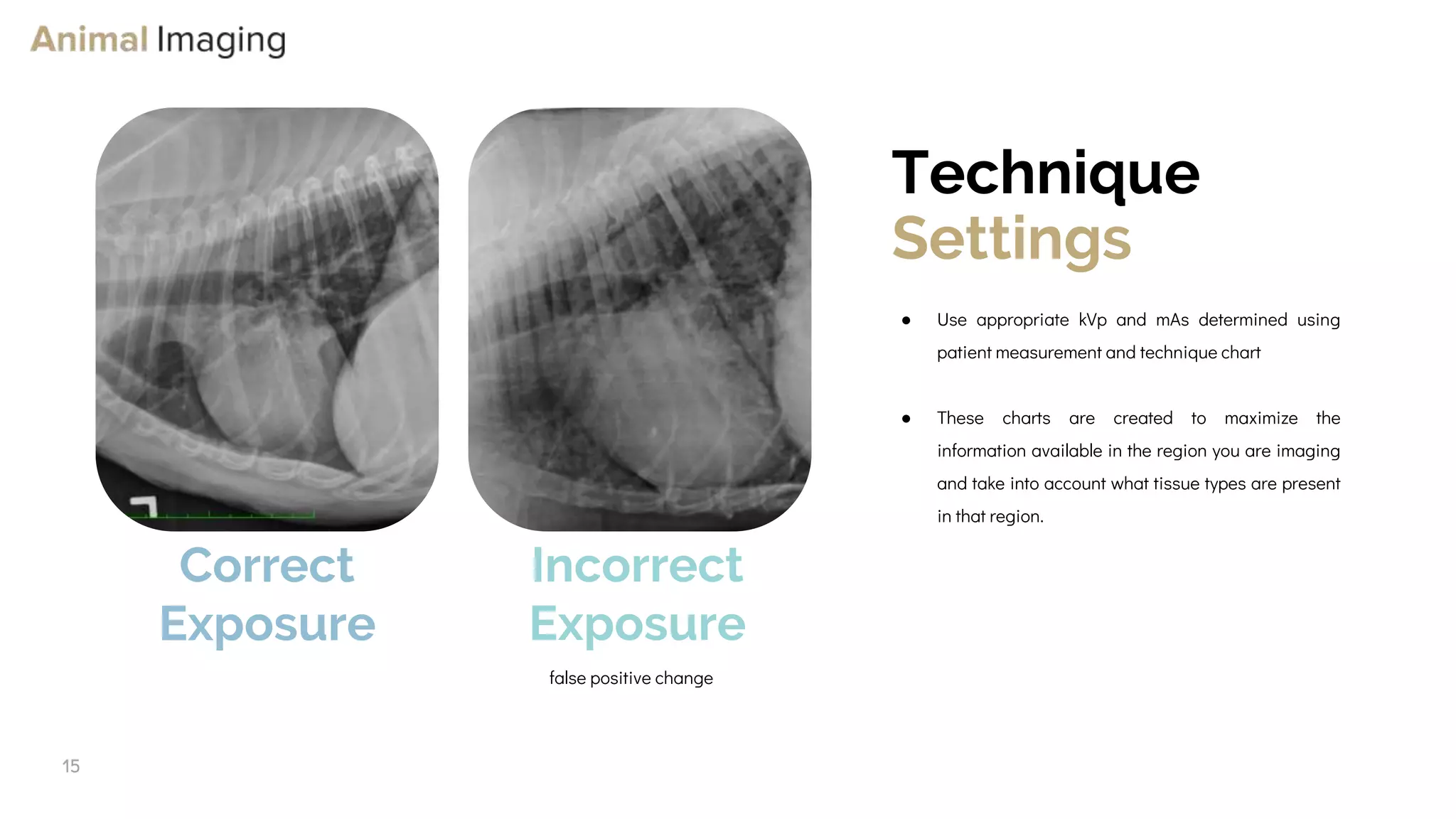 Optimizing Small Animal Thoracic Radiographs | PPT