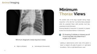 Optimizing Small Animal Thoracic Radiographs | PPT