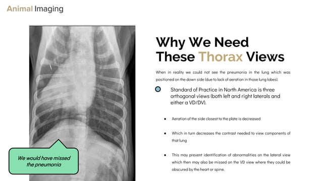 Optimizing Small Animal Thoracic Radiographs | PPT