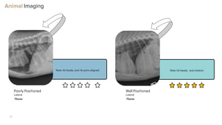 Optimizing Small Animal Thoracic Radiographs | PPT