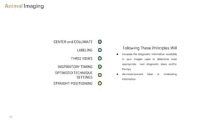 Optimizing Small Animal Thoracic Radiographs | PPT