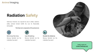 Optimizing Small Animal Thoracic Radiographs | PPT