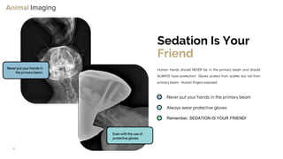 Optimizing Small Animal Thoracic Radiographs | PPT