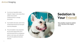 Optimizing Small Animal Thoracic Radiographs | PPT