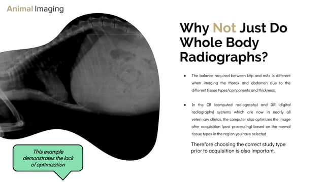 Optimizing Small Animal Thoracic Radiographs | PPT