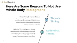 Optimizing Small Animal Thoracic Radiographs | PPT