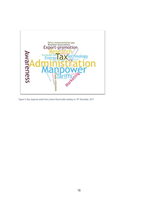 15
Figure 5: Key response words from Lahore Round table meeting on 14th November, 2017
 