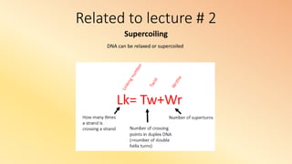 Related to lecture # 2
Supercoiling
DNA can be relaxed or supercoiled
 