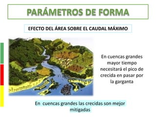 En cuencas grandes
mayor tiempo
necesitará el pico de
crecida en pasar por
la garganta
EFECTO DEL ÁREA SOBRE EL CAUDAL MÁXIMO
En cuencas grandes las crecidas son mejor
mitigadas
 