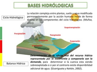 Determinación de la oferta real del recurso hídrico
representado por la escorrentía y compararla con la
demanda, para determinar si la cuenca esta siendo
sobreexplotada o si por el contrario existe disponibilidad
adicional de agua. (Guariguata y Kattán, 2002).
Ciclo Hidrológico
Balance Hídrico
La relación compleja entre plantas, suelo y agua modificada
permanentemente por la acción humana incide de forma
directa en los componentes del ciclo hidrológico. (Muñoz,
2011).
 