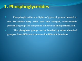 1. Phosphoglycerides
 Phosphoglycerides are lipids of glycerol groups bonded to
two fat-soluble fatty acids and one charged, water-soluble
phosphate group; the compound is known as phosphatidic acid.
 The phosphate group can be bonded by other chemical
group to form different structures for different functions.
 