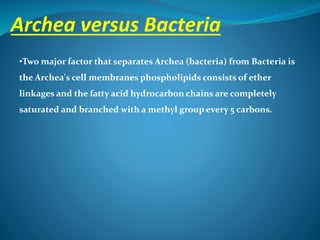 Archea versus Bacteria
•Two major factor that separates Archea (bacteria) from Bacteria is
the Archea's cell membranes phospholipids consists of ether
linkages and the fatty acid hydrocarbon chains are completely
saturated and branched with a methyl group every 5 carbons.
 